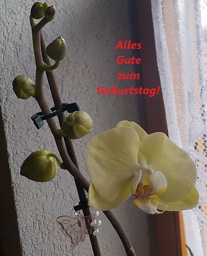 Snap_2024.02.12_08h02m12s_001_