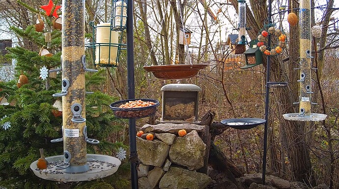 Snap_2022.12.28_12h29m48s_004_