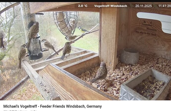 Screenshot_20251120-114150~2