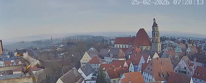 Snap_2026.02.25_08h19m13s_012_