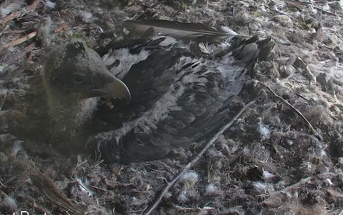 Montag morgen 29.04.24