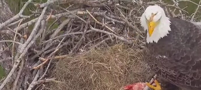 Screenshot_20231218_013507_YouTube