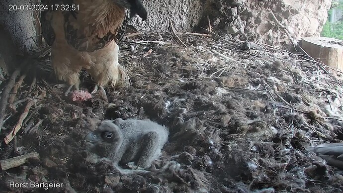 SnapShot-20240320_173259