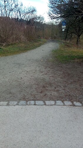 IMG_2025-03-12-07-38-13-505