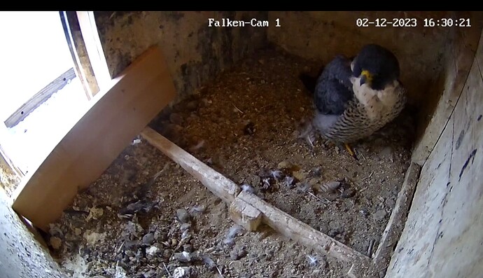 Screenshot_20231202-163039~2