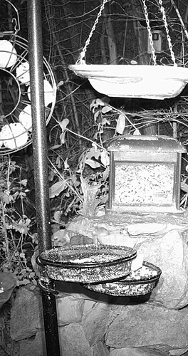 Screenshot_20241117_065849_Chrome