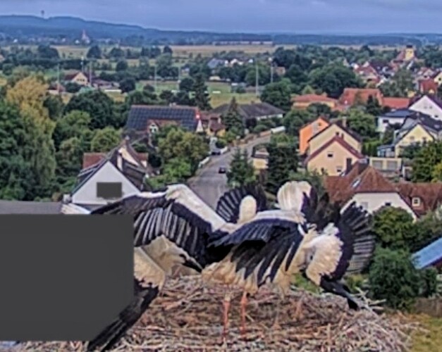 Screenshot_2025-07-08-06-30-45-233_com.android.chrome