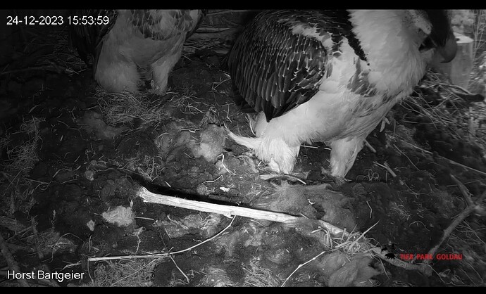 Screenshot_20231224_155417_Chrome