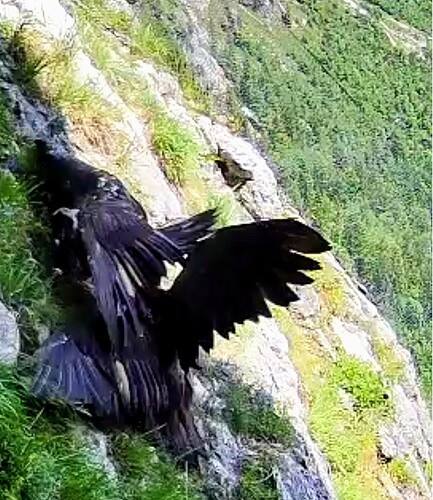 Screenshot_2025-06-10-12-02-18-005_com.android.chrome