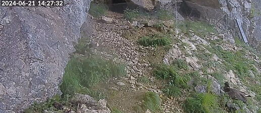 Snap_2024.06.21_14h27m55s_005_