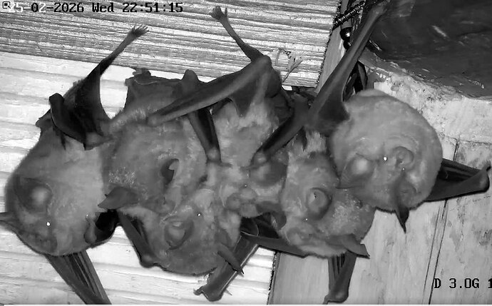 2026-02-25_3 ab 22.00 Zoom auf Hufis WG