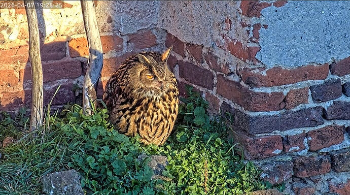 Screenshot_20260407_203256_YouTube