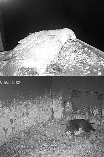 Screenshot_20260306_060615_Samsung Internet