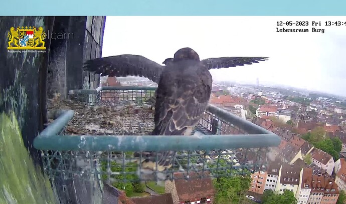 Screenshot_20230512-134405~2