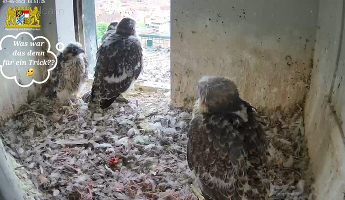 Screenshot_20230507-185205_Samsung Internet