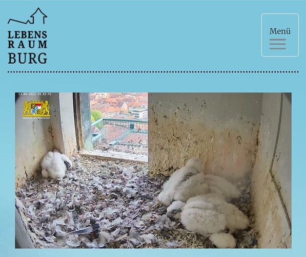 Screenshot_20230423_144405_Samsung Internet