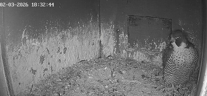 Screenshot_20260302_182656_Chrome