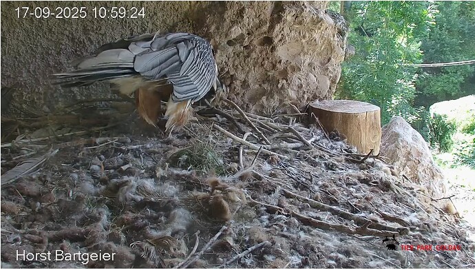 Screenshot_20250917-110041~2