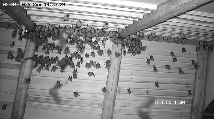 2026-04-05_3 Hufis Abflug 3