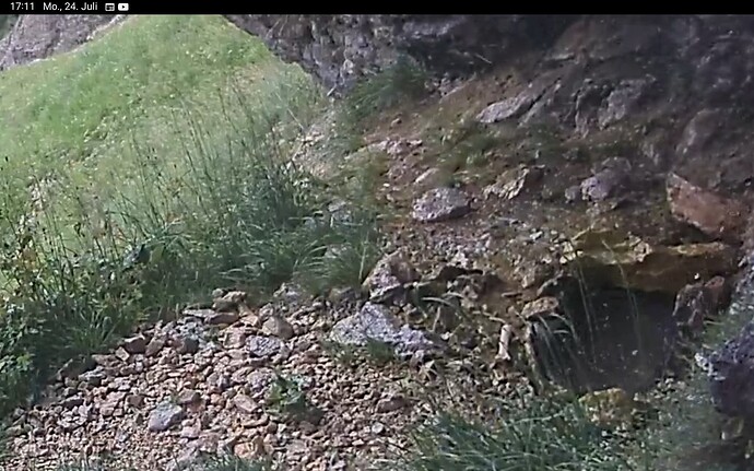 Screenshot_20230724-171142_Chrome