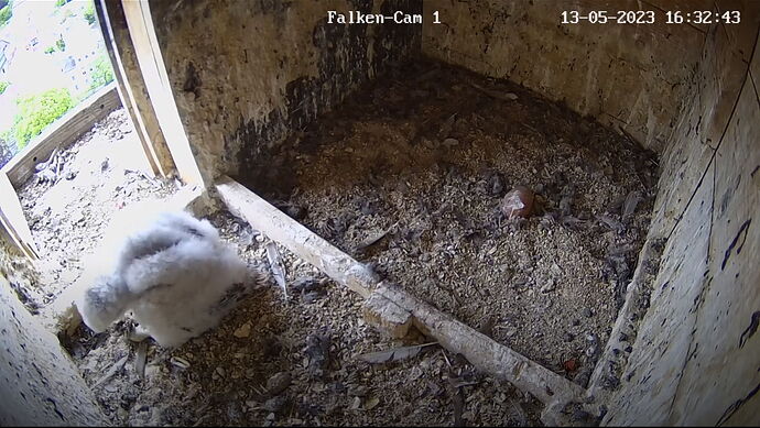 Snap_2023.05.13_16h33m07s_014_