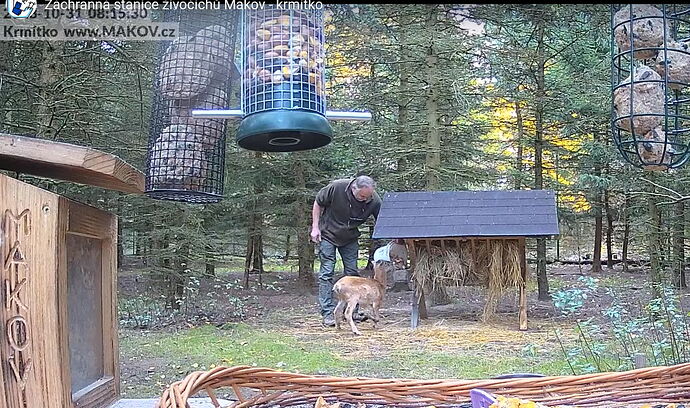 Snap_2023.10.31_08h21m17s_005_