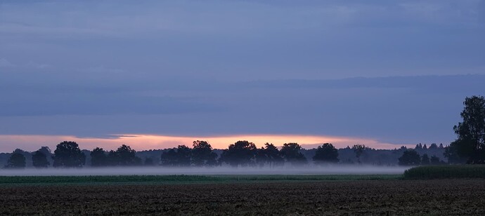 DSC00168