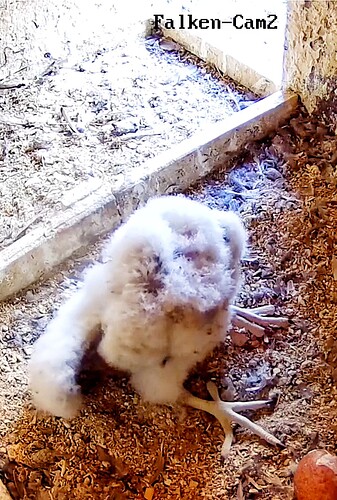 Screenshot_20230513-201743-01