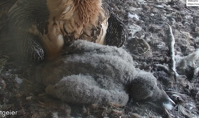 Mit Mama kuscheln 05.04.24