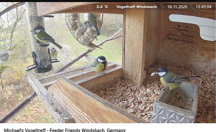 Screenshot_20251118-134524~2