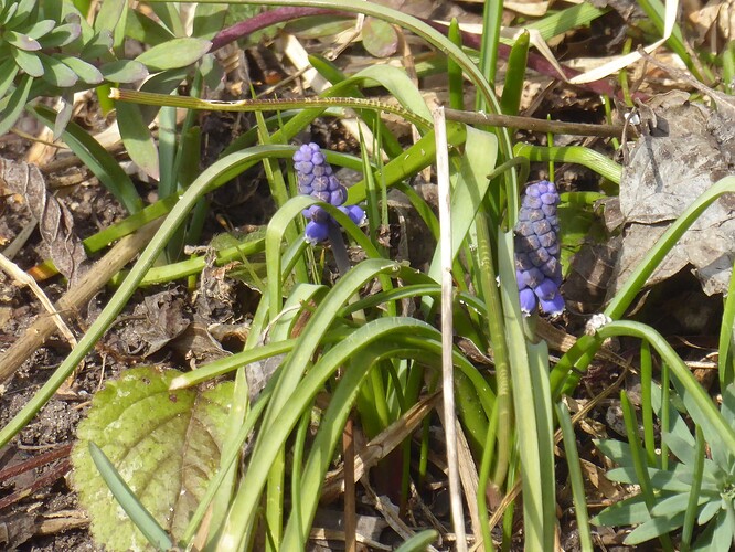 P1110056