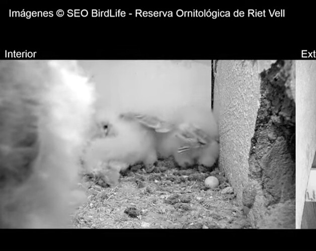 Screenshot_20231220_122801_YouTube