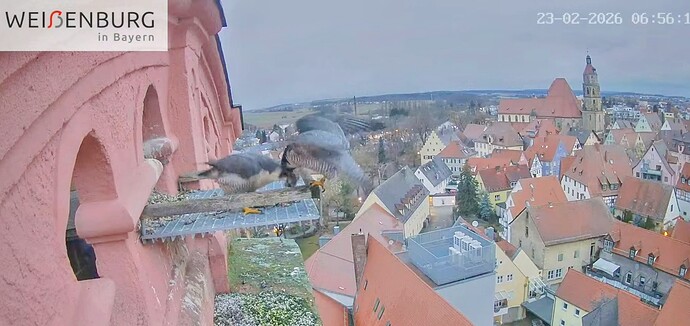 Screenshot_2026-02-23-07-08-38-633_com.google.android.youtube~2