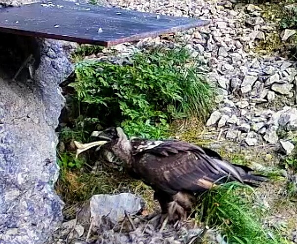 Screenshot_2025-06-23-18-57-49-656_com.android.chrome