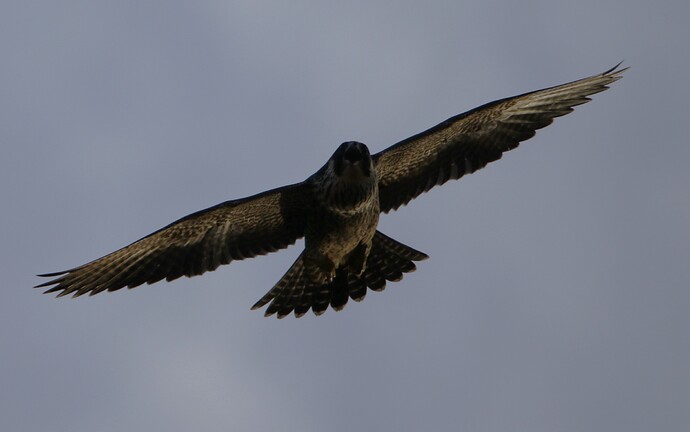 Nummer 3 Flug 3