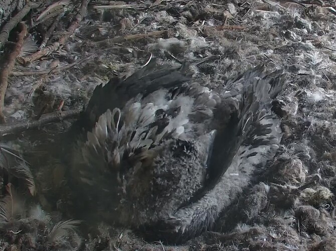 Nicht mehr stören 03.05.24