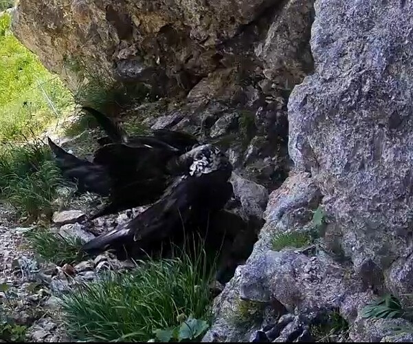 Screenshot_20250626-102449_Chrome