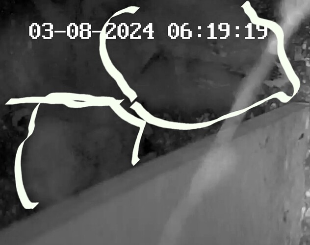 Screenshot_20240803_062240_Samsung Internet