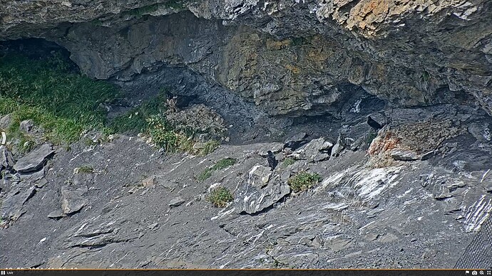 Screenshot (1278)