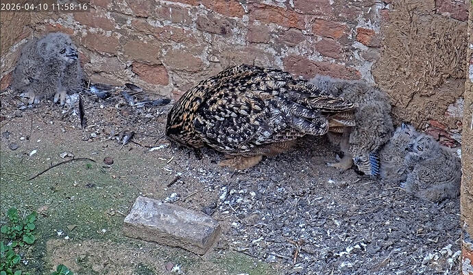 Screenshot_20260410_125342_YouTube