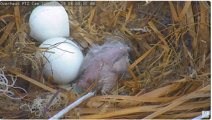 Screenshot 2023-12-17 144826