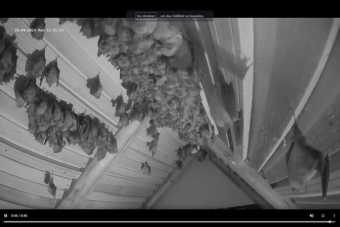 Screenshot (438)
