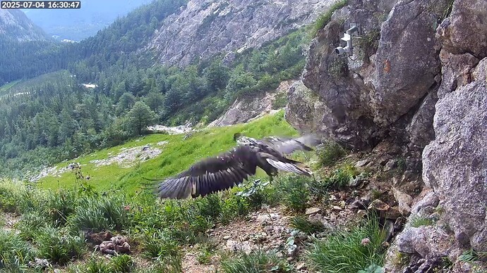 Bildschirmfoto vom 2025-07-04 16-31-13