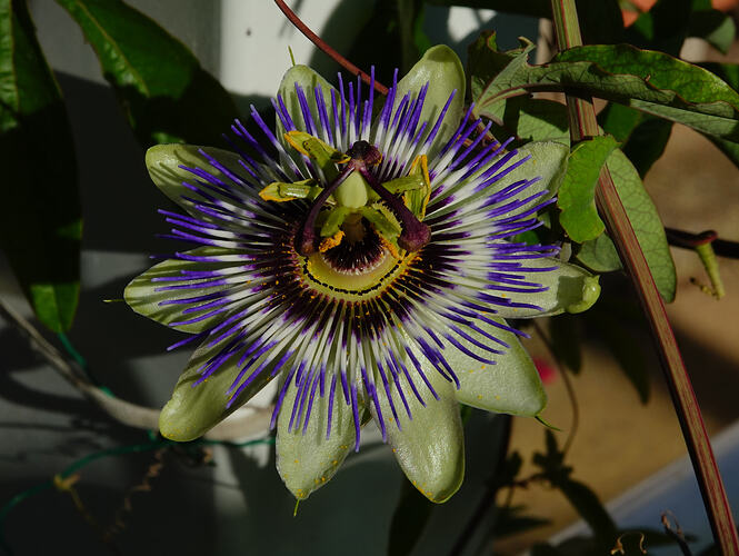 DSC02820