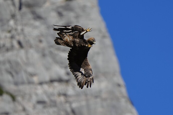 54016552988_8c61e6669d_k