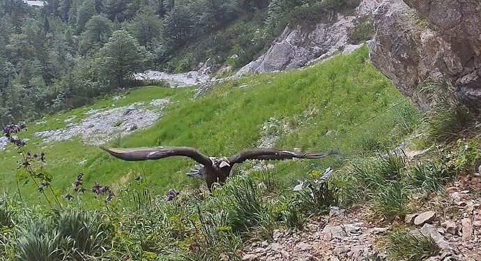 G. z.Hause  23.06.25