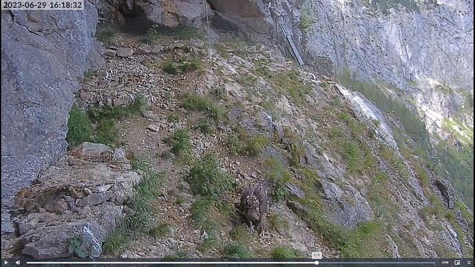 Screenshot (28)