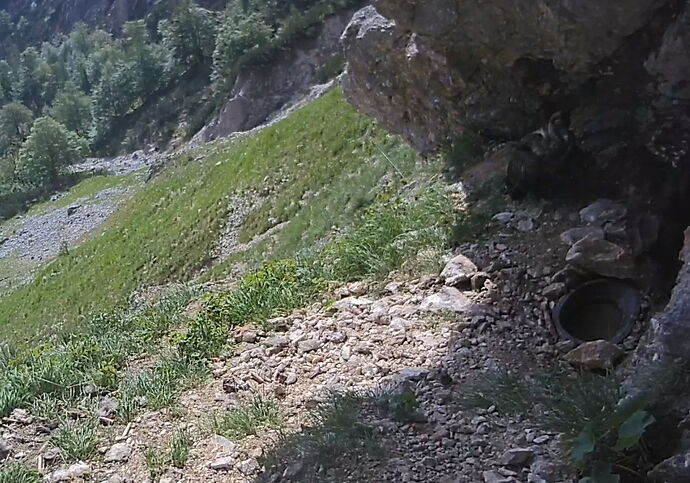 Snap_2023.06.07_09h26m52s_005_
