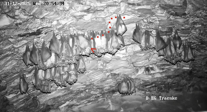 2025-12-31 ab 20.48_10a Weg zum Hangplatz ganz oben