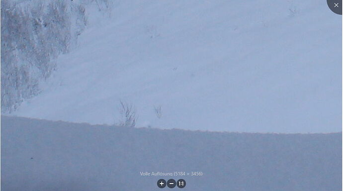Snap_2023.02.27_09h02m12s_011_